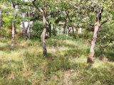  1585638-2970annonce220230411WkuRp.jpeg Maisons Open