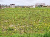 1585867-5754annonce120230411TLuNF.jpeg Maisons Open