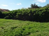  1585733-9555annonce120230411lycKP.jpeg Maisons Open