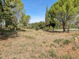  1587896-10488annonce120230413kGaiU.jpeg Maisons Open