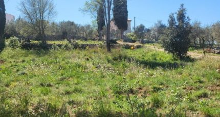Carcès Terrain à bâtir - 1587896-10488annonce320230413T2y4o.jpeg Maisons Open