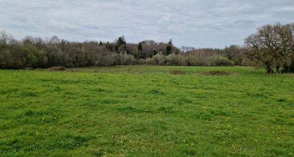 Couzeix Terrain à bâtir - 1582869-10515annonce120230406fXMeB.jpeg Maisons Open
