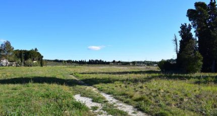 Domazan Terrain à bâtir - 1587854-609annonce120230413ODMGA.jpeg Maisons Open