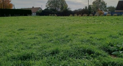 Courcebœufs Terrain à bâtir - 1589585-3704annonce120230414ZfEKW.jpeg Maisons Open