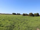  1590174-3243annonce120230416xTFni.jpeg Maisons Open