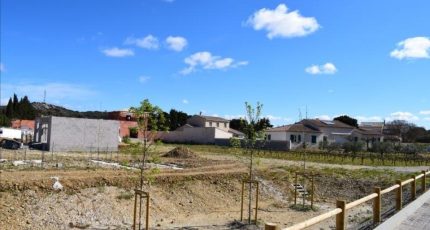 Estézargues Terrain à bâtir - 1591180-3418annonce320230418KOdy8.jpeg Maisons Open