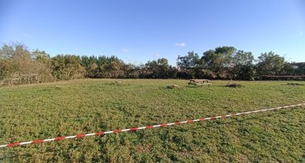 Plaisance-du-Touch Terrain à bâtir - 1589198-10327annonce120230414q004I.jpeg Maisons Open