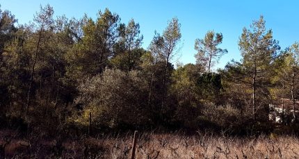 Bagnols-en-Forêt Terrain à bâtir - 1591720-10316annonce220230418An8Xr.jpeg Maisons Open