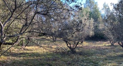 Bagnols-en-Forêt Terrain à bâtir - 1591720-10316annonce320230418NFM5m.jpeg Maisons Open