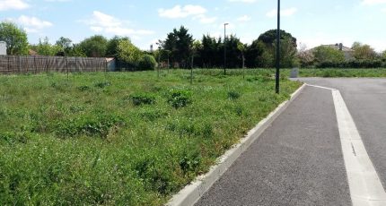 Toulouse Terrain à bâtir - 1591732-9555annonce120230418xT7RT.jpeg Maisons Open