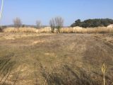  1593802-6929annonce2202304218Lgsi.jpeg Maisons Open