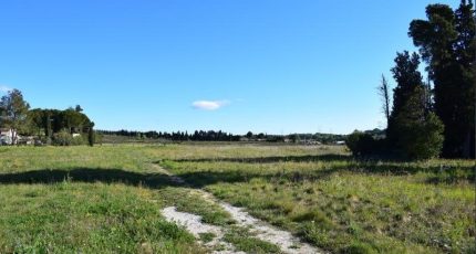 Domazan Terrain à bâtir - 1593865-6929annonce120230421cCtiC.jpeg Maisons Open