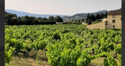 Vaison-la-Romaine Terrain à bâtir - 1593956-6929annonce220230421cFuG2.jpeg Maisons Open