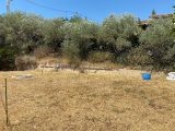  1594056-7060annonce120230201WTmCh.jpeg Maisons Open