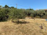 1594056-7060annonce320230201a6KUh.jpeg Maisons Open