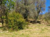  1595333-10316annonce1202304249JZD3.jpeg Maisons Open