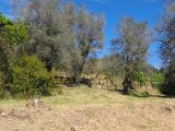  1595333-10316annonce420230424sxbkH.jpeg Maisons Open
