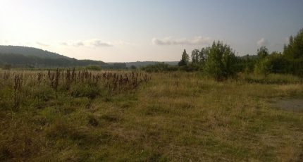 Gigean Terrain à bâtir - 1595120-1435annonce220230424Zxeiz.jpeg Maisons Open