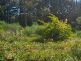  1597173-10488annonce420230426OeqT1.jpeg Maisons Open