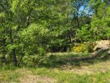  1597184-10488annonce22023042683BMh.jpeg Maisons Open
