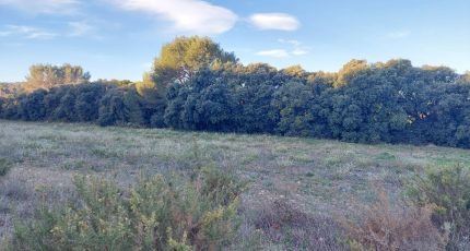 Lançon-Provence Terrain à bâtir - 1596816-7289annonce120230426lX1cK.jpeg Maisons Open