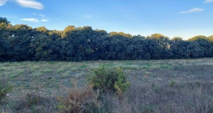 Lançon-Provence Terrain à bâtir - 1596816-7289annonce2202304266Jxzs.jpeg Maisons Open