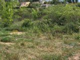  1597369-10488annonce420230427PxIlN.jpeg Maisons Open
