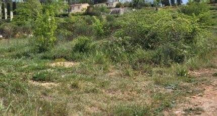 Brignoles Terrain à bâtir - 1597369-10488annonce420230427PxIlN.jpeg Maisons Open
