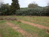  1599087-649annonce220230429iFkx1.jpeg Maisons Open