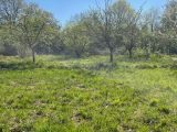  1543783-9956annonce120230215ulNMf.jpeg Maisons Open