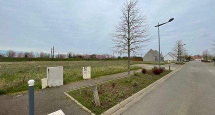 Ormoy Terrain à bâtir - 1549578-9956annonce120230221BzPmL.jpeg Maisons Open