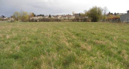 Brie-Comte-Robert Terrain à bâtir - 1572777-10375annonce120230324IfFvz.jpeg Maisons Open