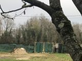  1521268-10376annonce220230121WVUuD.jpeg Maisons Open