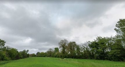 Villeconin Terrain à bâtir - 1573154-10491annonce1202303245FBpX.jpeg Maisons Open