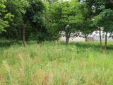  1521713-5529annonce2202301239RlqQ.jpeg Maisons Open