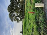  1525105-5529annonce2202301251Lsoi.jpeg Maisons Open
