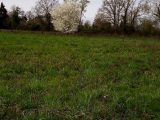  1537434-5529annonce120230208EFwL7.jpeg Maisons Open