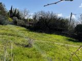  1538836-7060annonce220230512D2rkK.jpeg Maisons Open