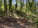  1603371-7060annonce220230505cdLPi.jpeg Maisons Open
