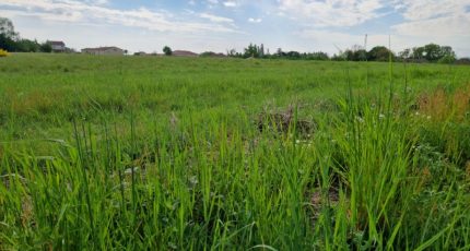 Boisseuil Terrain à bâtir - 1602402-10515annonce220230505zkOF2.jpeg Maisons Open