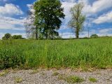  1602403-10515annonce320230505QJ0e6.jpeg Maisons Open