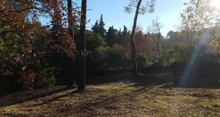 Opio Terrain à bâtir - 1604867-1837annonce220230509uCUHg.jpeg Maisons Open