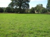  1562203-9930annonce120230309n3aTh.jpeg Maisons Open