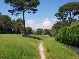  1609044-1836annonce3202305153fkTT.jpeg Maisons Open