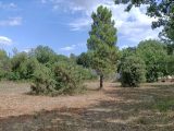  1609878-7058annonce220230516G2a2P.jpeg Maisons Open
