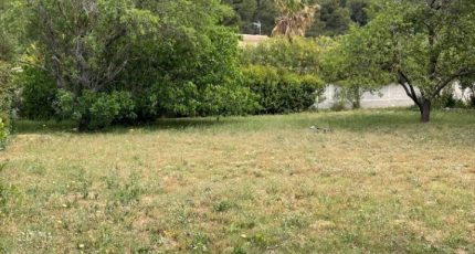 Cuges-les-Pins Terrain à bâtir - 1609854-7060annonce420230516qoeGi.jpeg Maisons Open
