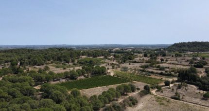 Marcorignan Terrain à bâtir - 1609946-10167annonce120230517fyuMQ.jpeg Maisons Open