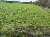 1544443-7020annonce120230215km0B6.jpeg Maisons Open