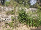  1611487-10488annonce22023051930ZiO.jpeg Maisons Open
