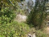  1611487-10488annonce420230519Td9Rh.jpeg Maisons Open